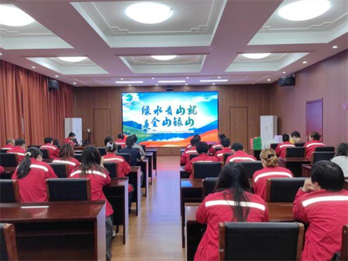 图片8.png