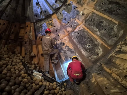 图片5.png 图片5.png